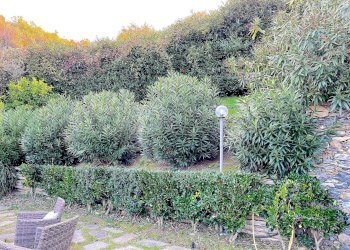 Foto 40 - Villa Località Solarolo
 
SNC, Moneglia - foto 40