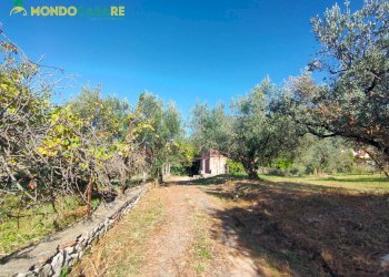 Foto 19 - Casa indipendente via piave, Marcellina - foto 19