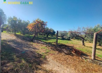 Foto 21 - Casa indipendente via piave, Marcellina - foto 21