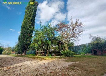 Foto 100 - Casa indipendente strada palombarese
 
85, Palombara Sabina - foto 100