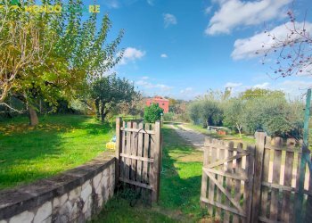 Foto 120 - Casa indipendente strada palombarese
 
85, Palombara Sabina - foto 120