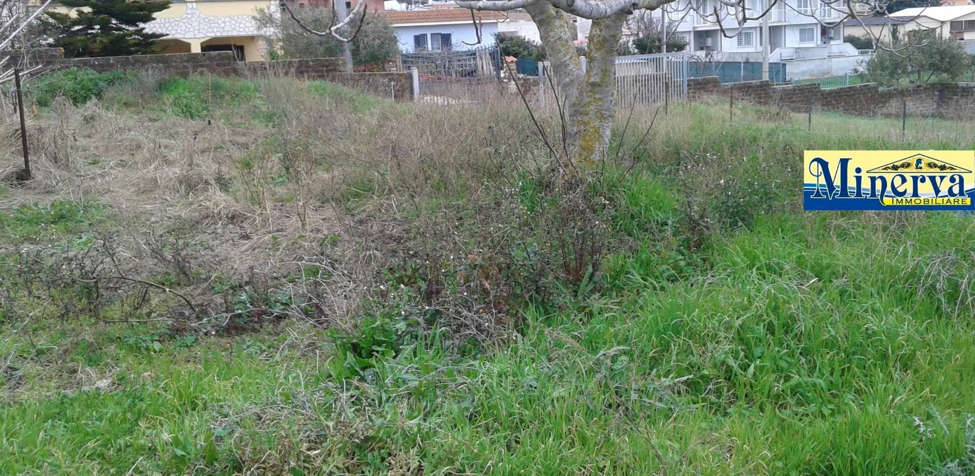 Foto 3 - Terreno edificabile Via Colle Cocchino, Anzio - foto 3