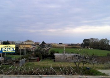 Foto 2 - Terreno edificabile Via Colle Cocchino, Anzio - foto 2