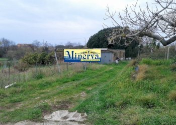 Foto 5 - Terreno edificabile Via Colle Cocchino, Anzio - foto 5