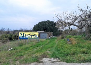 Foto 6 - Terreno edificabile Via Colle Cocchino, Anzio - foto 6