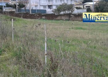 Foto 7 - Terreno edificabile Via Colle Cocchino, Anzio - foto 7