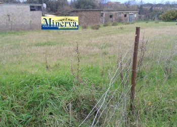 Foto 8 - Terreno edificabile Via Colle Cocchino, Anzio - foto 8