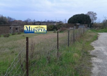 Foto 10 - Terreno edificabile Via Colle Cocchino, Anzio - foto 10