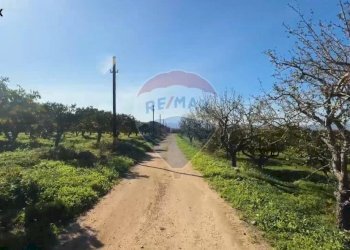 Giardino - Locale Commerciale SP67, 96016 Lentini SR, Lentini - foto 54