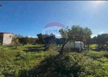 Giardino - Locale Commerciale SP67, 96016 Lentini SR, Lentini - foto 55