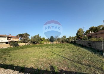 Giardino - Terreno agricolo Via Plava, Fiumicino - foto 2