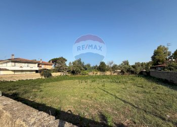 Giardino - Terreno agricolo Via Plava, Fiumicino - foto 3