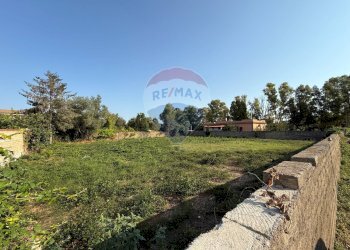 Giardino - Terreno agricolo Via Plava, Fiumicino - foto 6