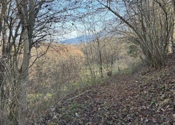 Foto 6 - Casa indipendente via  cansech
 
10, Feltre - foto 6