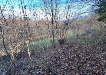 Foto 8 - Casa indipendente via  cansech
 
10, Feltre - foto 8