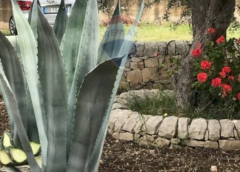 Dettagli - Appartamento Contrada Cifali, Chiaramonte Gulfi - foto 11