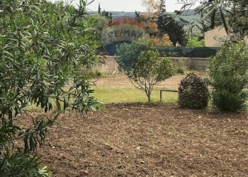 Giardino - Appartamento Contrada Cifali, Chiaramonte Gulfi - foto 12