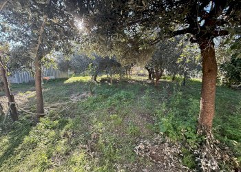 Foto 10 - Villa Eboli - photo 10