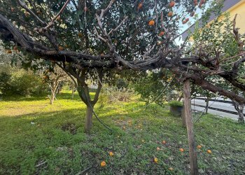 Foto 11 - Villa Eboli - photo 11