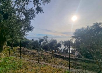 Foto 3 - Terreno agricolo Via Manie, Finale Ligure - foto 3