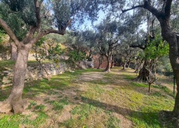 Foto 1 - Terreno agricolo Via Manie, Finale Ligure - foto 1