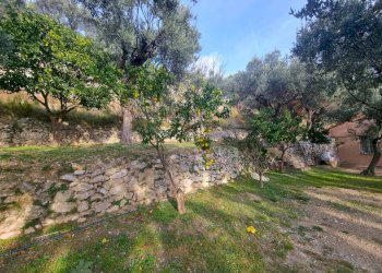 Foto 4 - Terreno agricolo Via Manie, Finale Ligure - foto 4