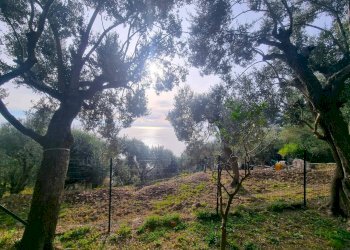 Foto 5 - Terreno agricolo Via Manie, Finale Ligure - foto 5