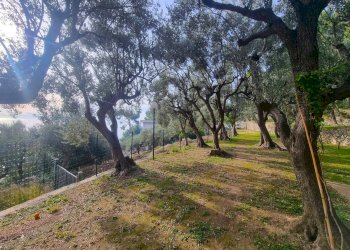 Foto 7 - Terreno agricolo Via Manie, Finale Ligure - foto 7