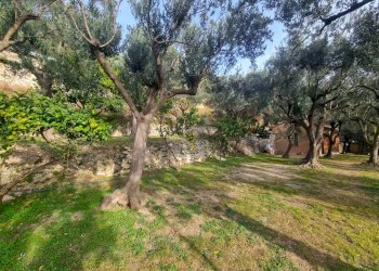 Foto 9 - Terreno agricolo Via Manie, Finale Ligure - foto 9