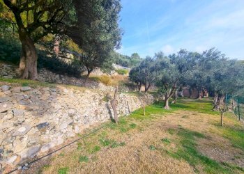 Foto 10 - Terreno agricolo Via Manie, Finale Ligure - foto 10