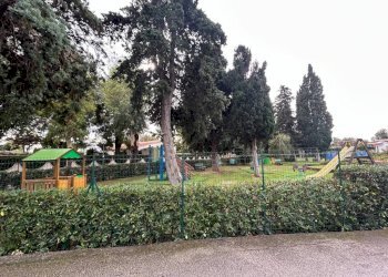 Giardino - Villa via delle Rose, Ostuni - foto 18