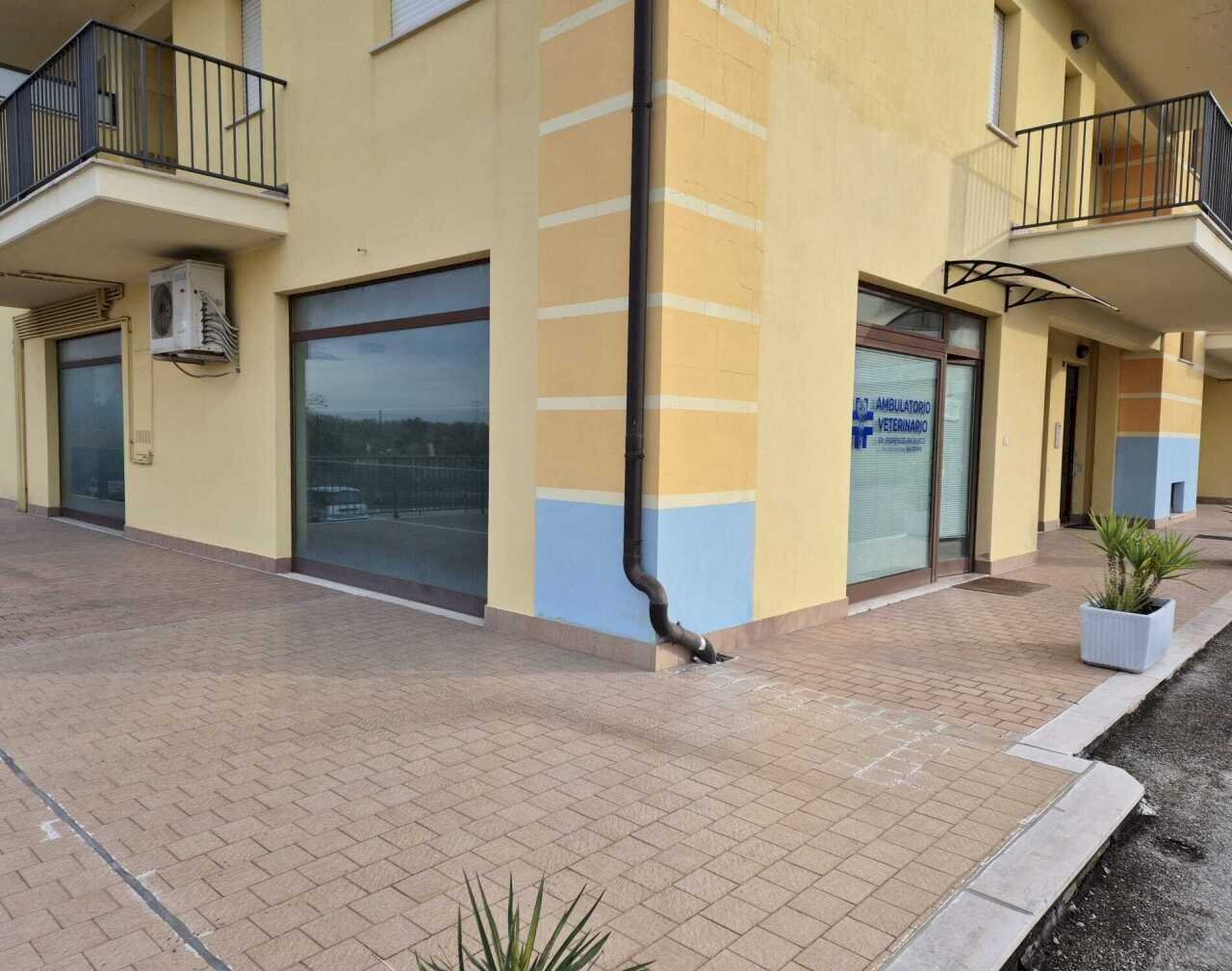 9ff3f8e2-4204-46d8-a9c6-80e808488671.jpg - Locale Commerciale Via Ferdinando Galliani 41B, Altino - foto 1