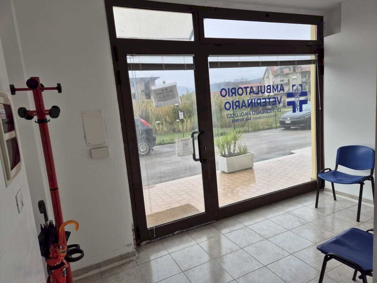 0c0df74c-5ce0-4678-87bc-012a2e8a22c9.jpg - Locale Commerciale Via Ferdinando Galliani 41B, Altino - foto 3