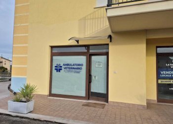 430f66f3-c557-4bfa-b0c2-3533a28fface.jpg - Locale Commerciale Via Ferdinando Galliani 41B, Altino - foto 2