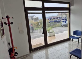 0c0df74c-5ce0-4678-87bc-012a2e8a22c9.jpg - Locale Commerciale Via Ferdinando Galliani 41B, Altino - foto 3