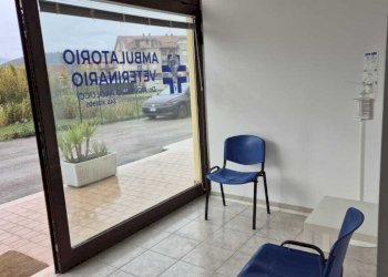 0f1e6cba-dfcc-4bcb-b50c-cdd6eaf4335b.jpg - Locale Commerciale Via Ferdinando Galliani 41B, Altino - foto 4