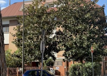 IMG_6484.jpeg - Ufficio VIA ADAMELLO 70B, Grosseto - foto 25