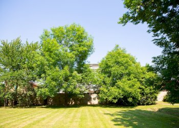 Single Family Villa VIA MATTEOTTI, 16, Caraglio - photo 19