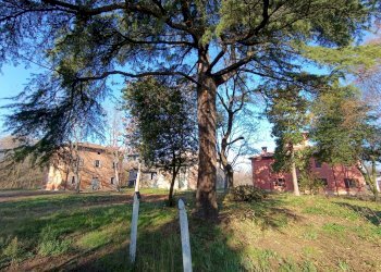 Foto 6 - Rustico via casali
 
30, Formigine - foto 6