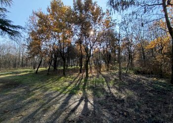 Foto 24 - Rustico via casali
 
30, Formigine - foto 24