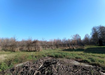 Foto 27 - Rustico via casali
 
30, Formigine - foto 27