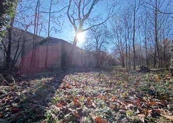 Foto 38 - Rustico via casali
 
30, Formigine - foto 38