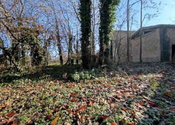 Foto 39 - Rustico via casali
 
30, Formigine - foto 39