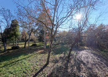 Foto 49 - Rustico via casali
 
30, Formigine - foto 49