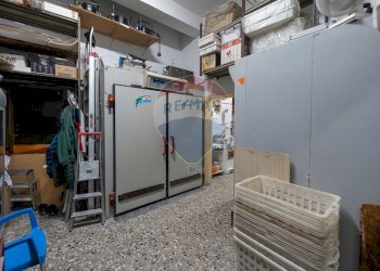 Cucina - Negozio Viale Ungheria
28, Milano - foto 16