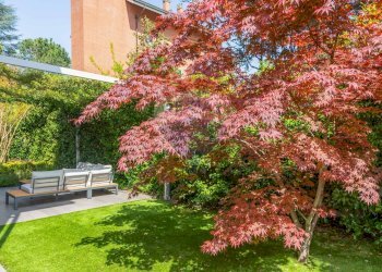 Giardino - Villa Monza - photo 4