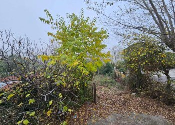 img-20251202-wa0043 - Villa Agugliano - foto 4