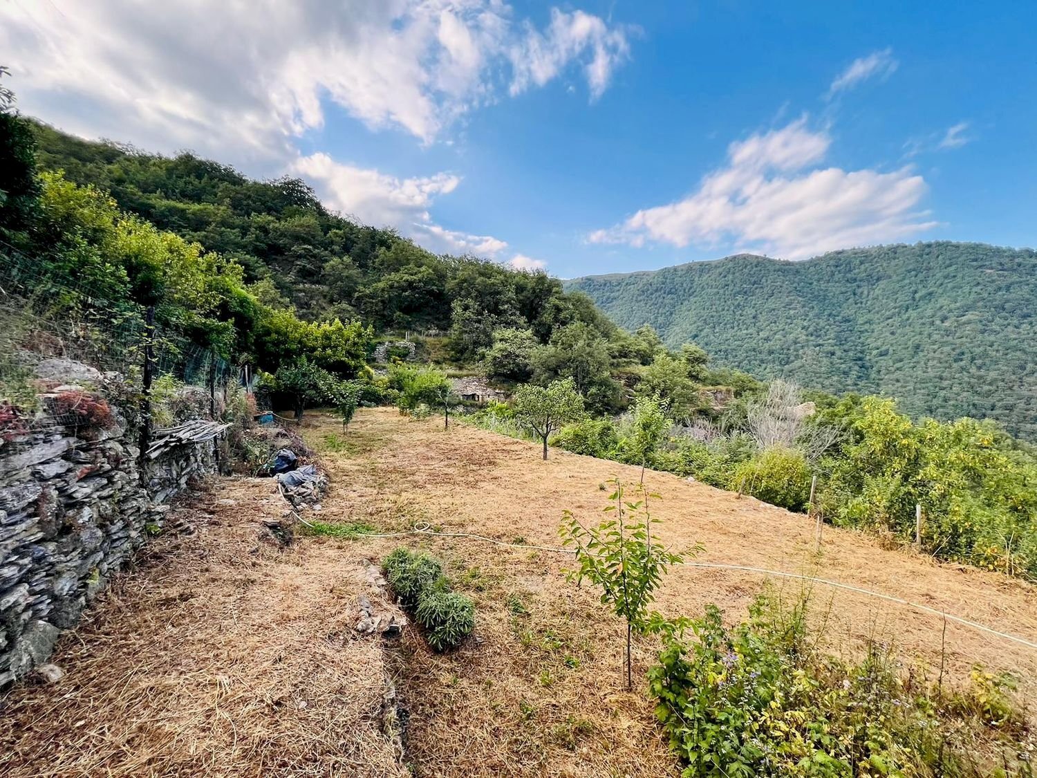 vista - Independent house San Giovanni
 
18020, Prelà - photo 2