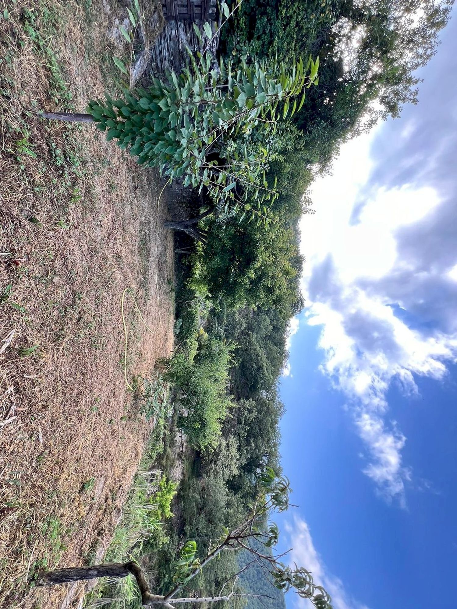 giardino - Independent house San Giovanni
 
18020, Prelà - photo 3