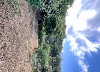 giardino - Independent house San Giovanni
 
18020, Prelà - photo 3